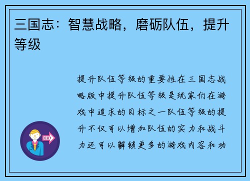 三国志：智慧战略，磨砺队伍，提升等级